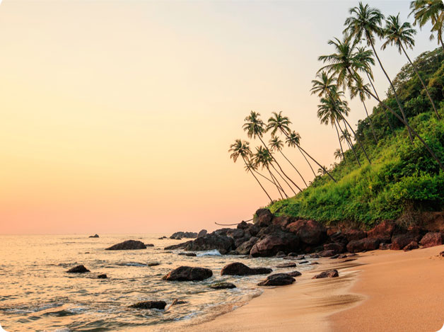 Beautiful Goa beach