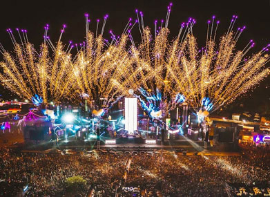 Sunburn Festival